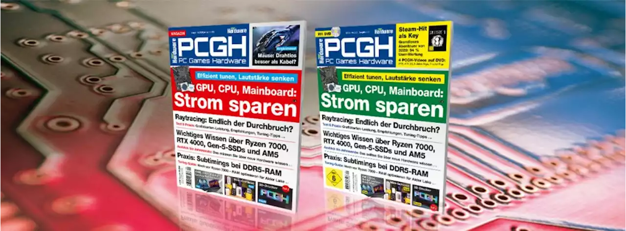 PCGH 09/2022 (#263): Stromkosten deutlich senken, Raytracing 2022, RAM-Subtimings bei DDR5 erklärt, ITX-Gehäuse getestet, 3D-Druck Teil 2, Ausblick auf Ryzen 7000, RTX 4000, u. v. m. - auf DVD Steam-Hit 'Shady Part of Me'