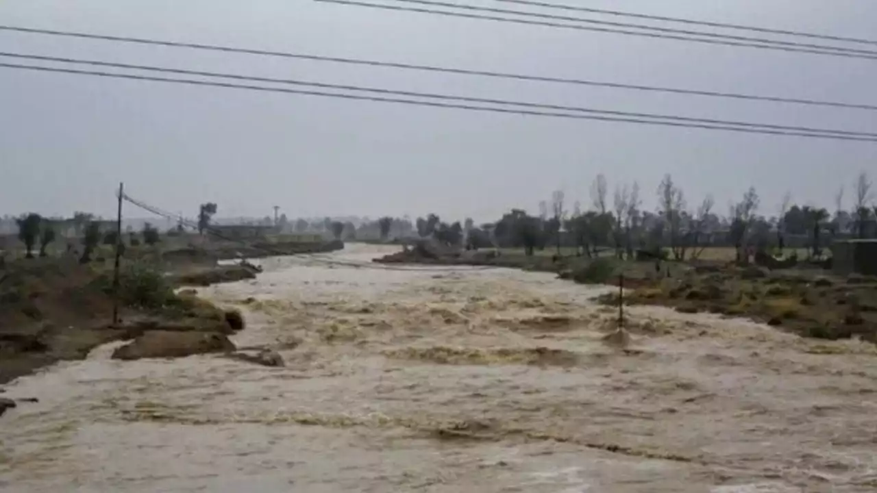 خسارات سیل به بخش کشاورزی ایران به ۱۰ هزار میلیارد تومان رسید