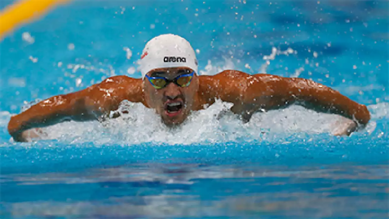 Chad Le Clos wins 18th medal to tie Commonwealth Games' record - SABC News - Breaking news, special reports, world, business, sport coverage of all South African current events. Africa's news leader.