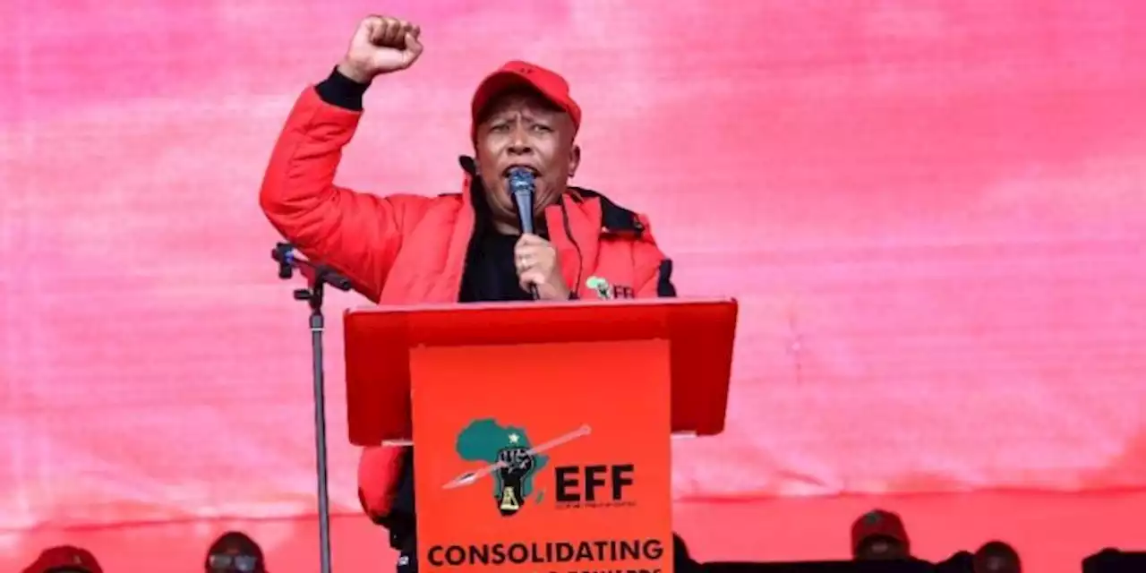 Malema calls for special unit to tackle violent crimes amid Krugersdorp rape incident - SABC News - Breaking news, special reports, world, business, sport coverage of all South African current events. Africa's news leader.