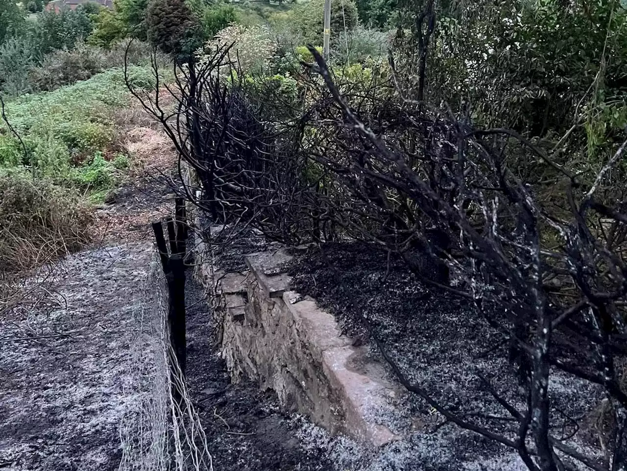 Warning after bonfire embers spark countryside blaze