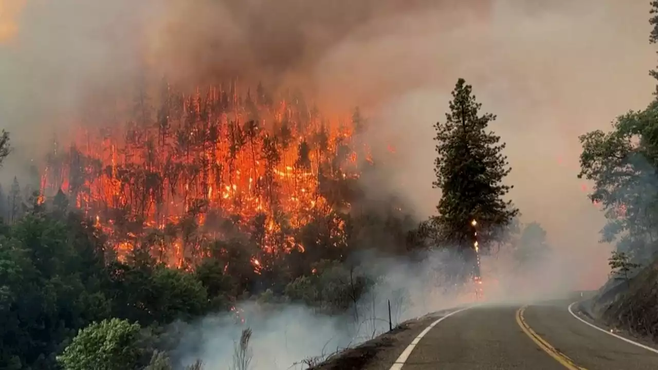 Skogsbränder rasar i västra USA