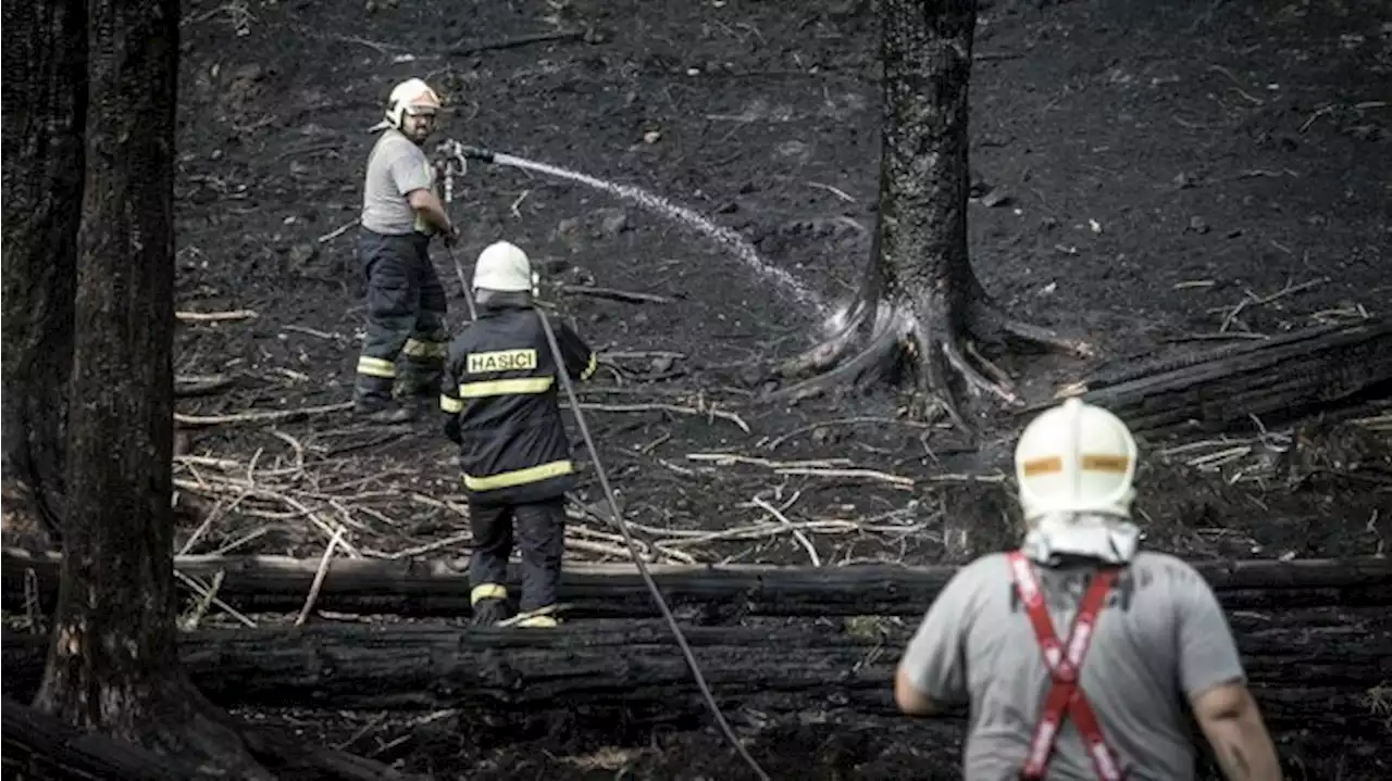 Waldbrand in Tschechien wütet weiter auf rund 1000 Hektar