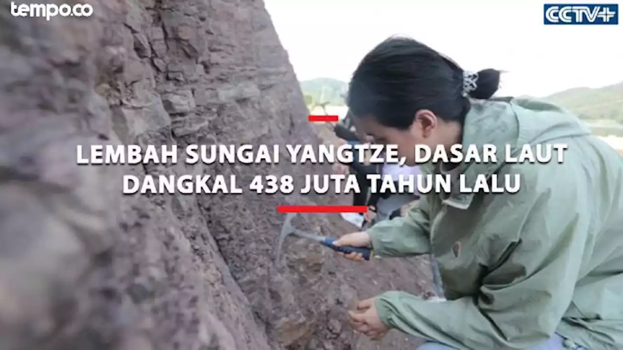 Lembah Sungai Yangtze, Dasar Laut Dangkal 438 Juta Tahun Lalu