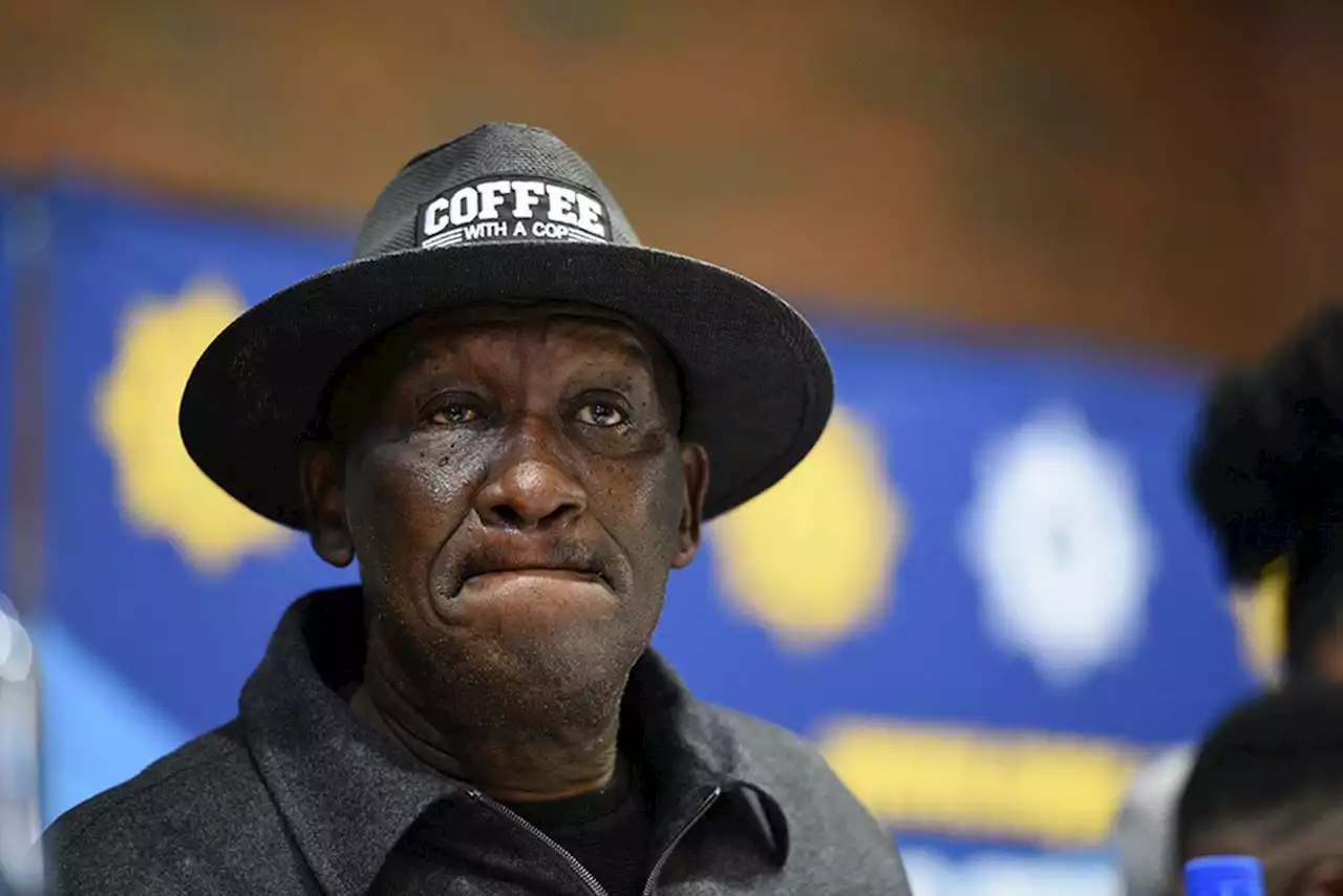 Bheki Cele concedes that police alone cannot deal with violent crimes in SA | The Citizen