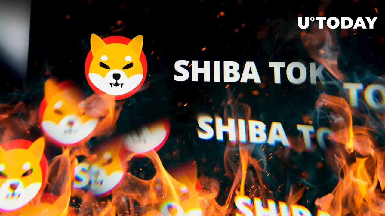 Shiba Inu Burn Rate Spikes 130%