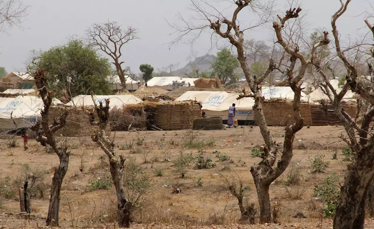 West Africa: Multiple Crises Threatening Stability and Development in Sahel