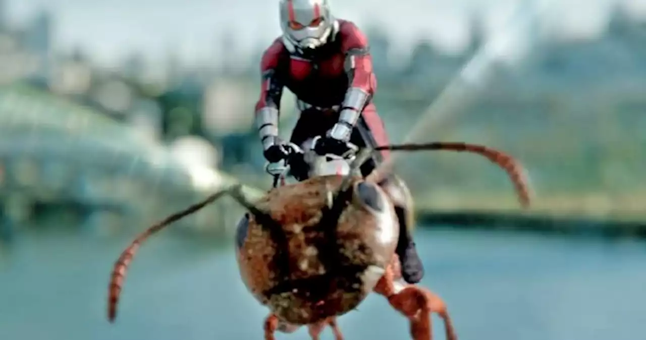 Ant-Man finally explains why he didn't go up Thanos butt