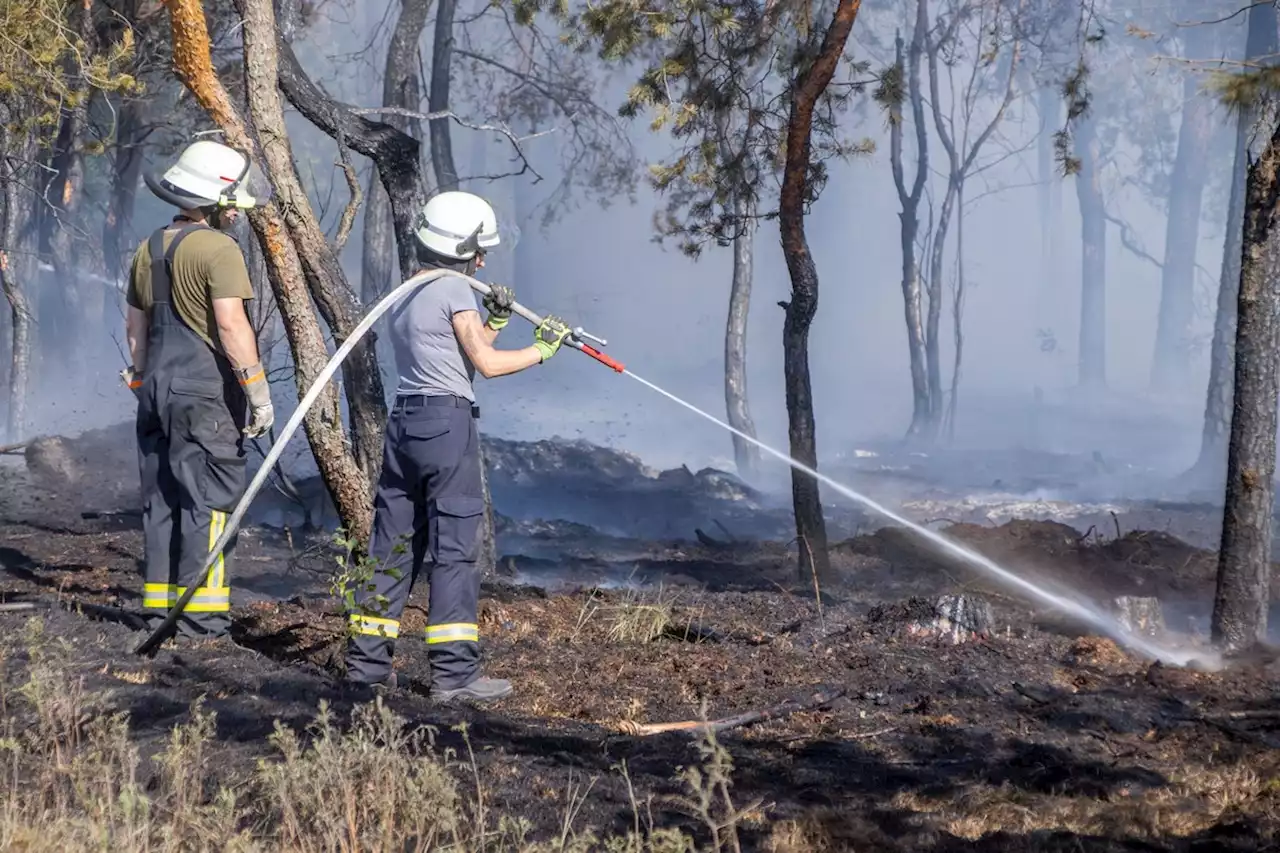 Weiteres Feuer am Naturschutzgebiet Gohrischheide ausgebrochen