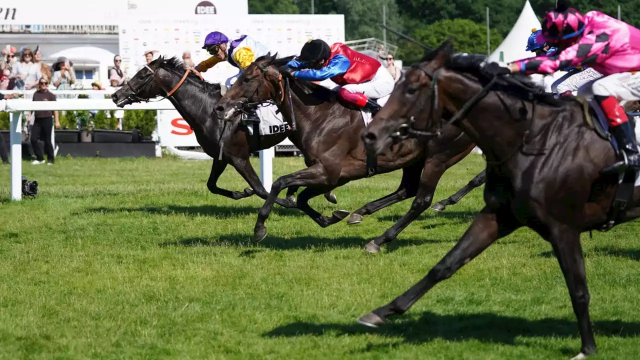 153. Galopp-Derby: Der Hengst Sammarco gewinnt nach Foto-Finish