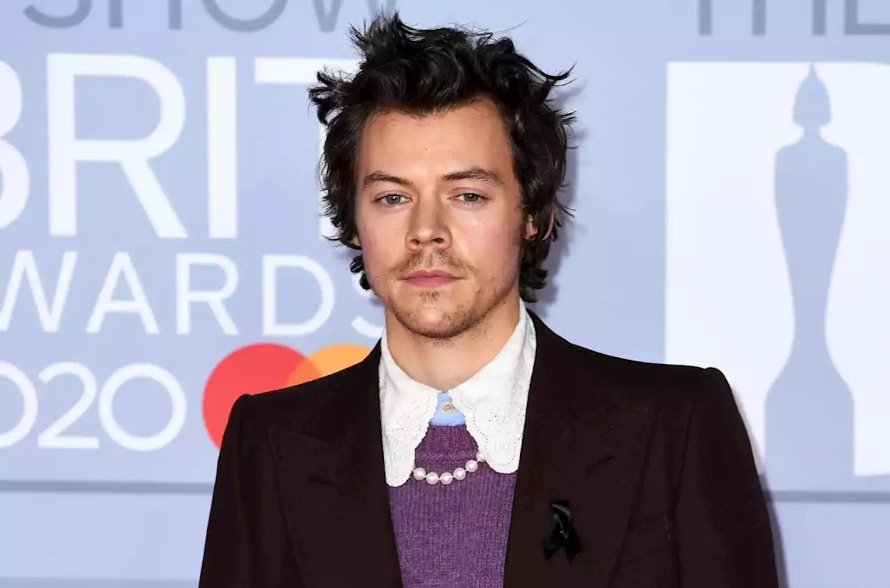 Harry Styles Copenhagen Concert Canceled After Fatal Shooting Nearby