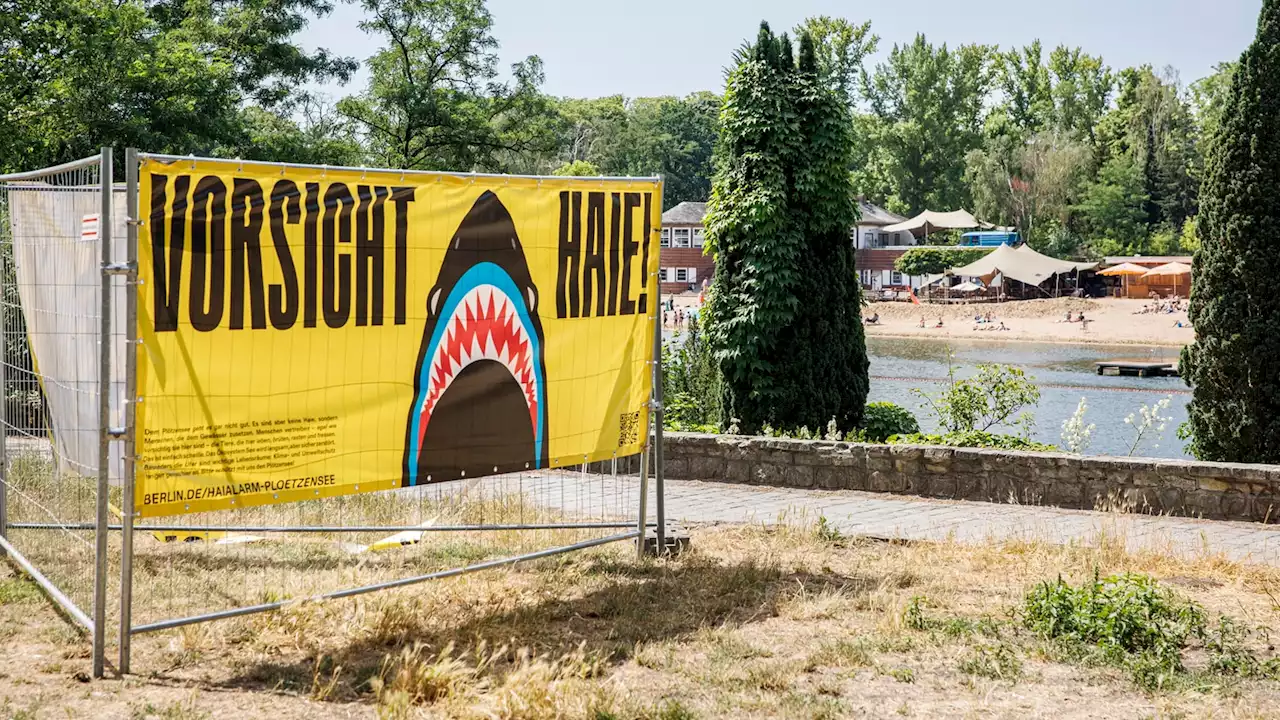 Hai-Alarm am Plötzensee!