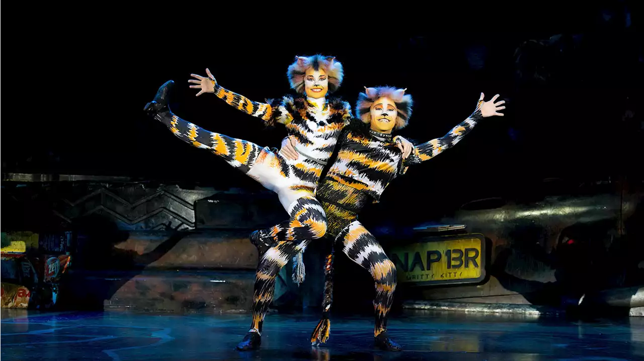 Musical-Klassiker „Cats“ gastiert in Berlin-Mitte