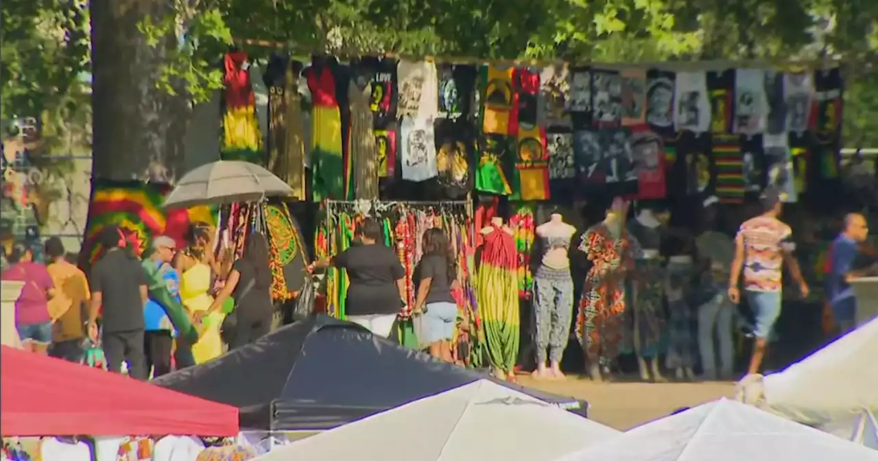 African Caribbean International Festival of Life underway in Washington Park this weekend