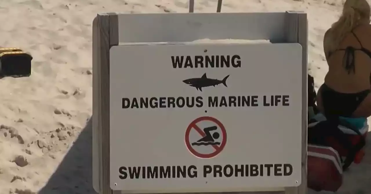 Shark attacks lifeguard during training exercise off Long Island