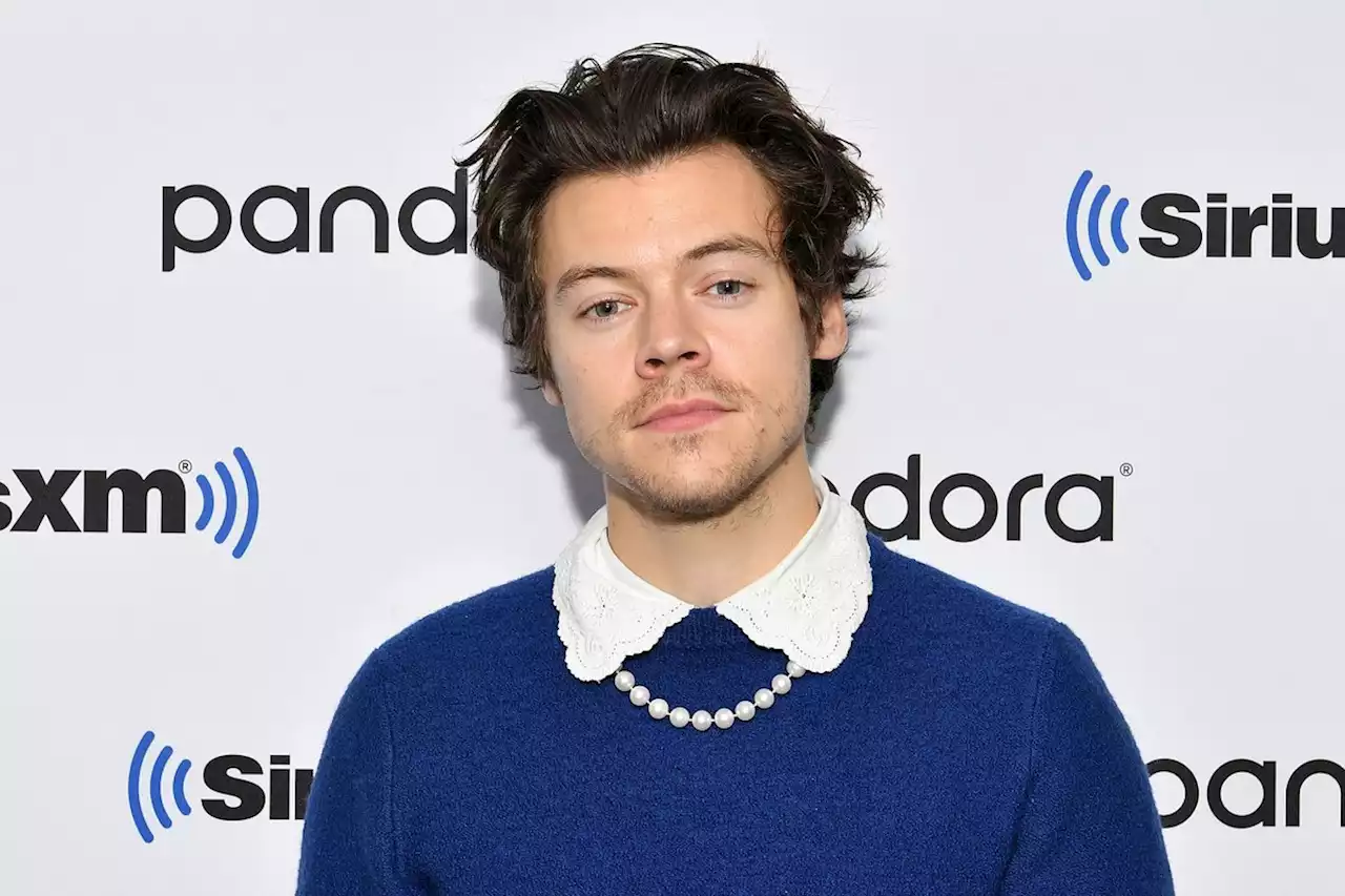 Harry Styles 'devastated' after Denmark concert cancelled due to shooting at mall nearby | Channel