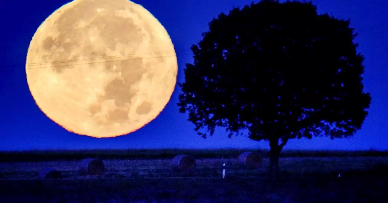 Superluna de Ciervo de julio 2022: cuándo y dónde se verá en su apogeo