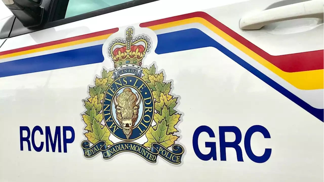 Body found on QEII Highway near Airdrie