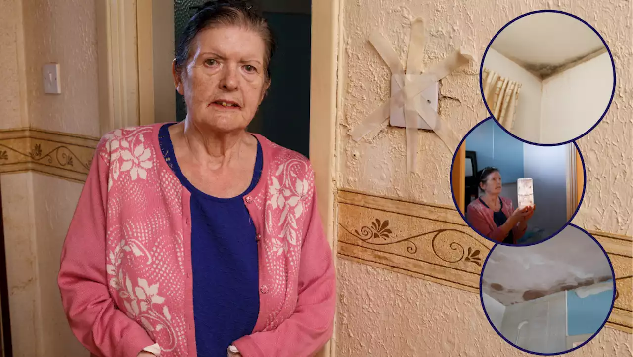 Cancer survivor 'frightened for her health' due to fungus-infected flat