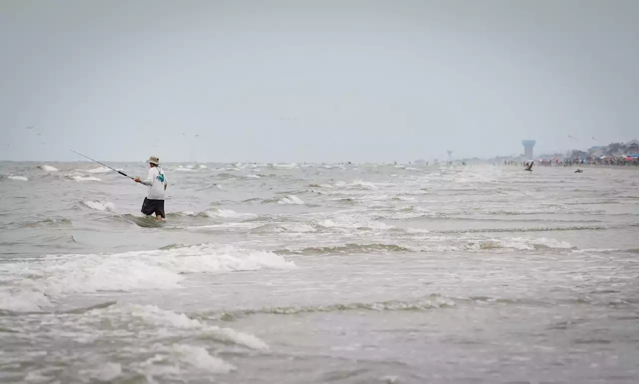 Body found in search for missing 21-year-old swimmer in Galveston Bay