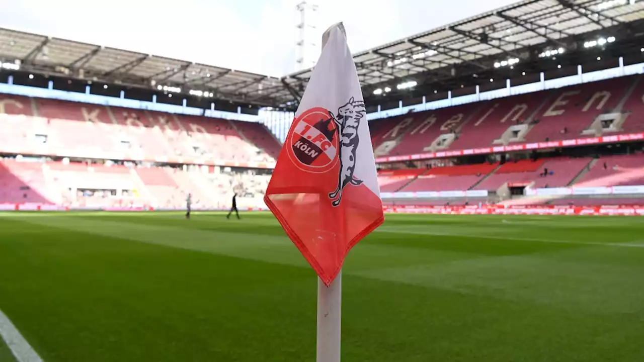 1. FC Köln muss 231.200 Euro zahlen