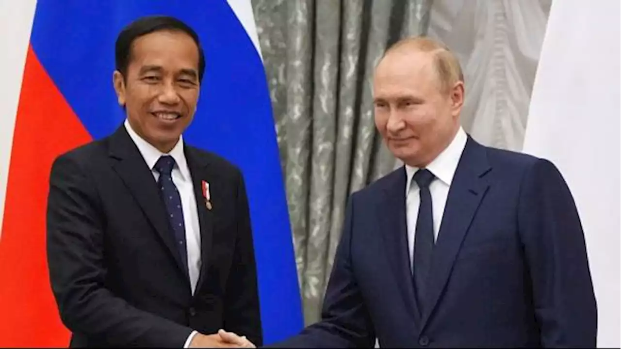 Soal Efektivitas Misi Damai Jokowi ke Ukraina dan Rusia, Pengamat: Ini Diplomasi Jangka Panjang