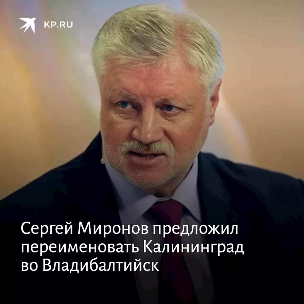 Сергей Миронов предложил переименовать Калининград во Владибалтийск