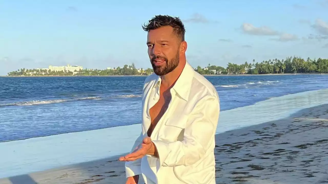 ¿Quién denunció a Ricky Martin por violencia doméstica?