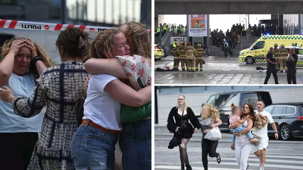 Horror shooting in Copenhagen shopping mall leaves several dead and more injured