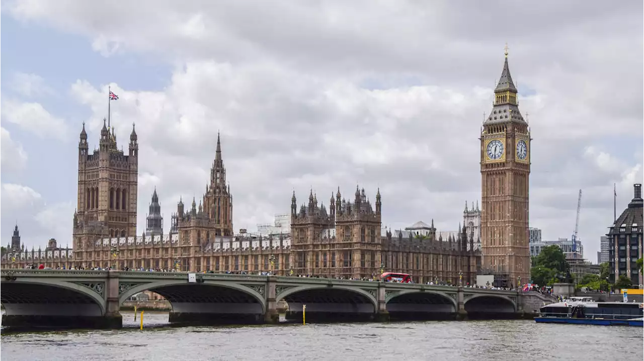 Fish tanks and calming music could be introduced to make Parliament more 'inclusive'