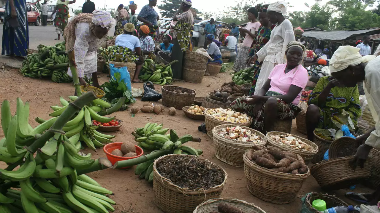 How To Cope With Rising Food Prices