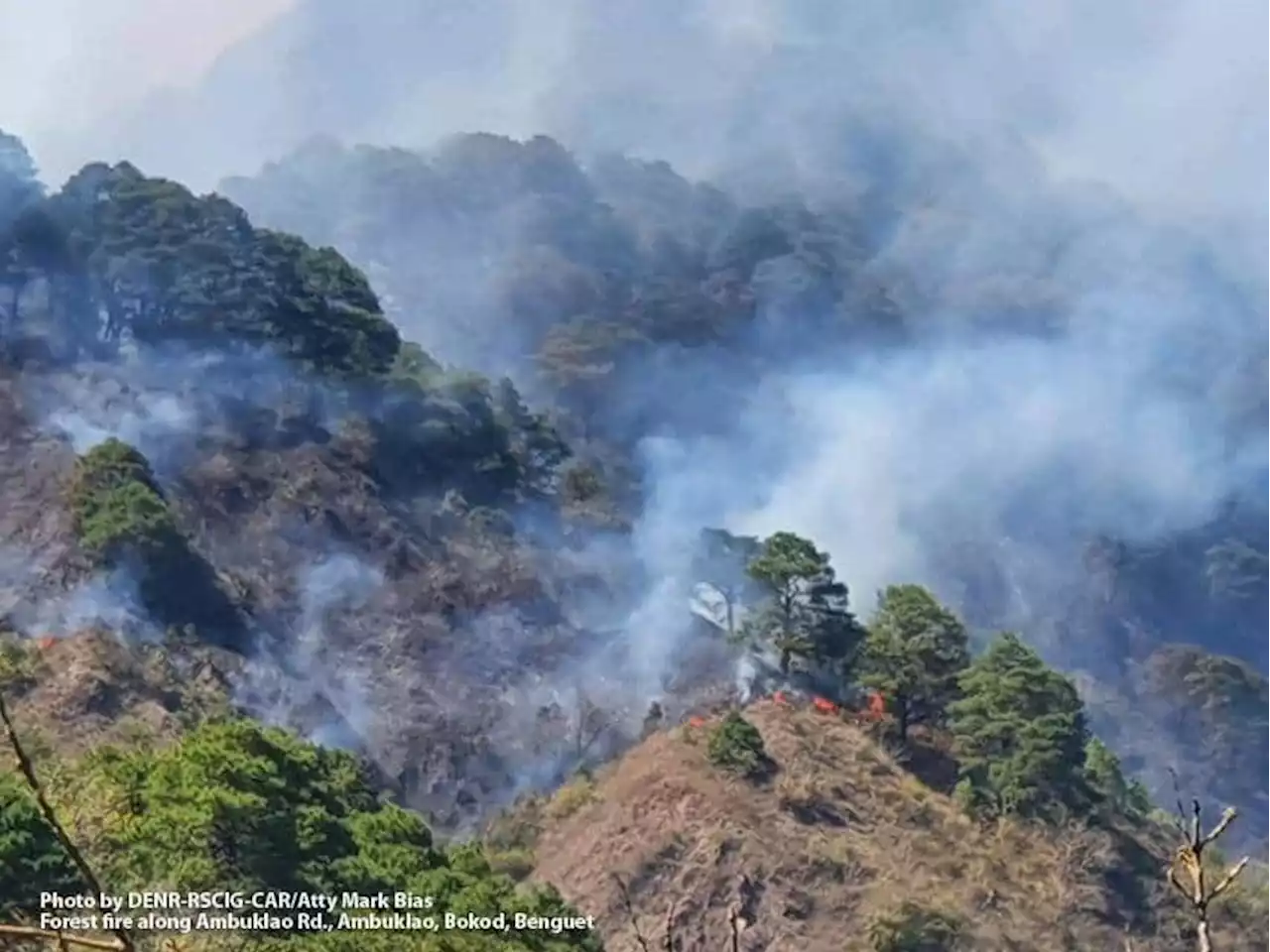 Preventing Benguet forest fires, promoting watershed resilience through DOST-PCAARRD's greenbelt project