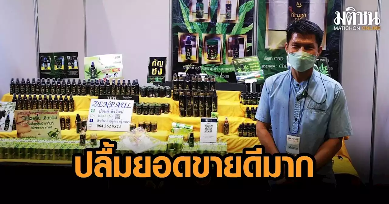 SMEs เปิดใจ ยอดพุ่ง! 'เฮลท์แคร์' ช่วยปรับทรรศนะผู้สูงวัย ต่อการใช้ 'กัญชา' แวะเวียนนวดไม่ซา