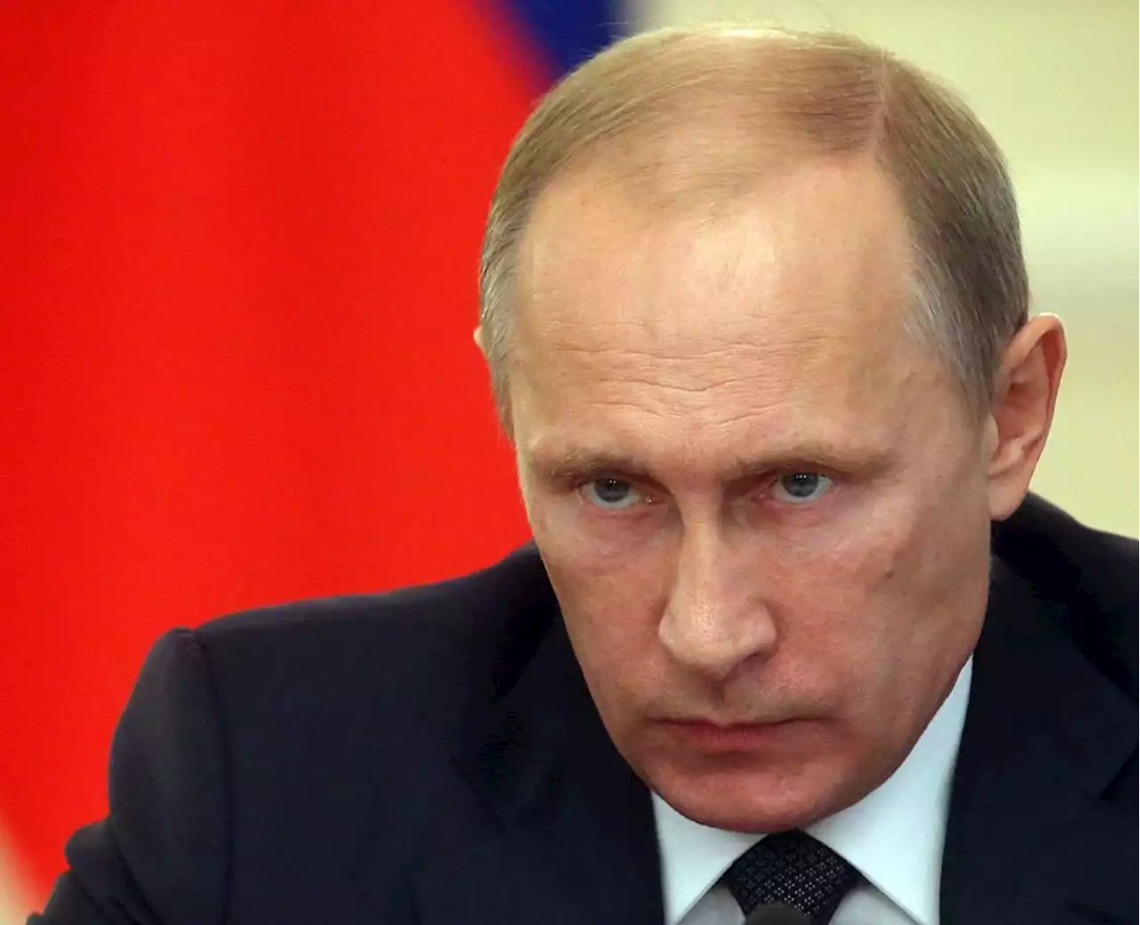 SA conspiracy communities 'targeted' by Putin propaganda against 'global famine' criticism | Fin24