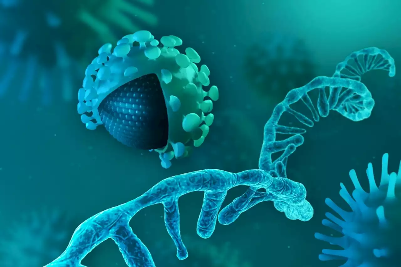 SARS-CoV-2 infection of lung endothelial cells and pulmonary capillary microthrombosis