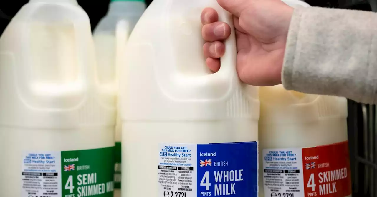 Michael Mosley says cows milk is best as he warns over switching