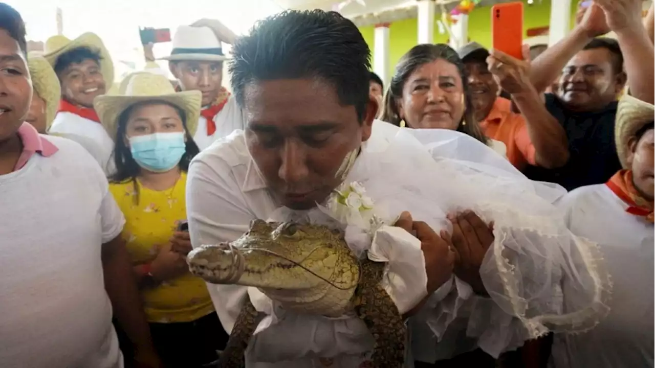 Oaxaca: Alcalde de San Pedro Huamelula se casó con un reptil