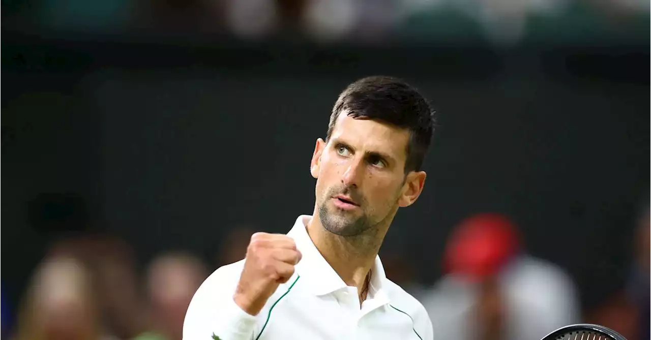 Djokovic tames wildcard Van Rijthoven to set up Sinner clash