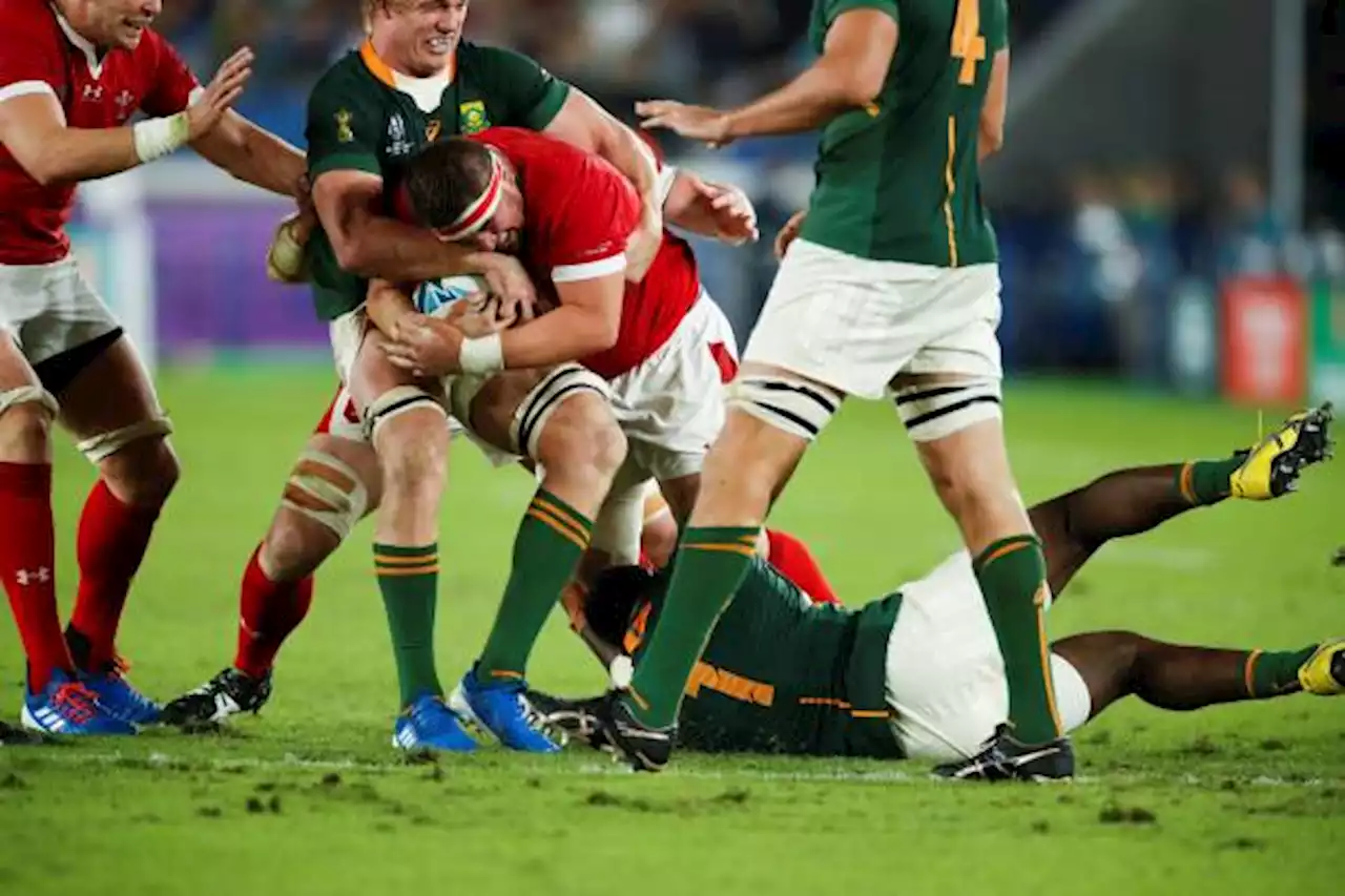 Wales to feed rookie to Bok scrum