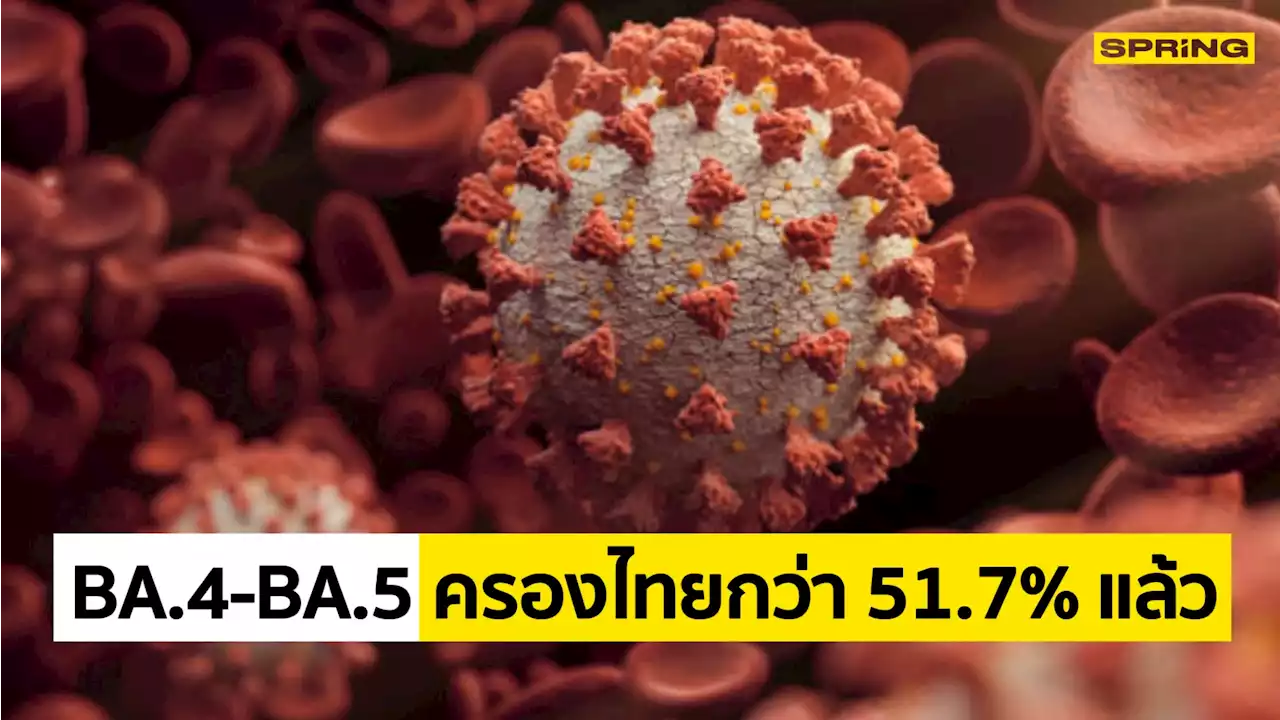 โควิด สายพันธุ์ BA.4-BA.5 ครองไทยกว่า 51.7% แล้ว ยันยังไม่พบ BA.2.75 ในประเทศ