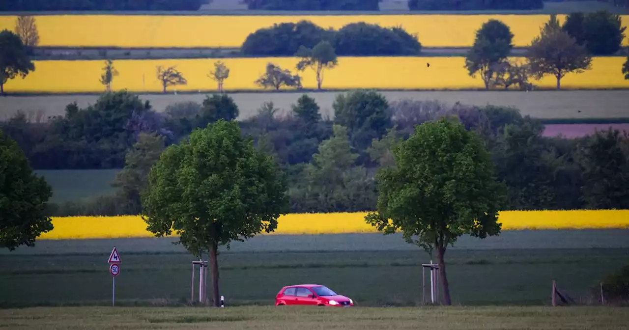 180 000 Menschen pendeln über die Grenze: In welchen Branchen die Grenzgänger aus Grand Est im Saarland arbeiten