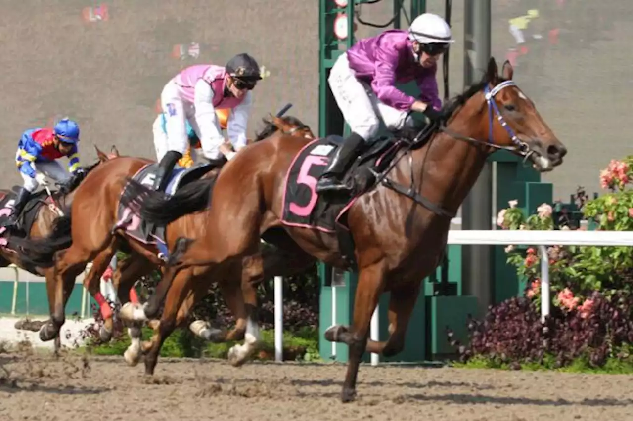 Mahadi gets off the mark early