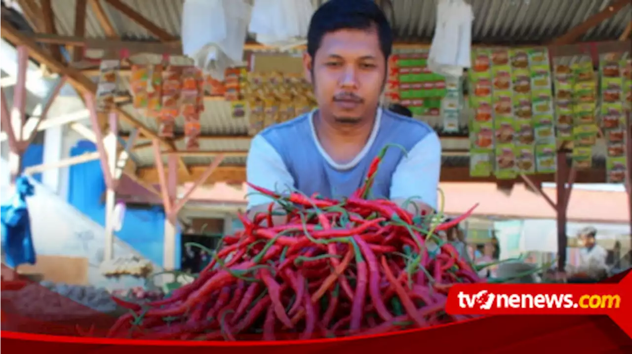 Jelang Iduladha, Harga Cabai Merah di Bener Meriah Tembus Rp130 Ribu per Kg