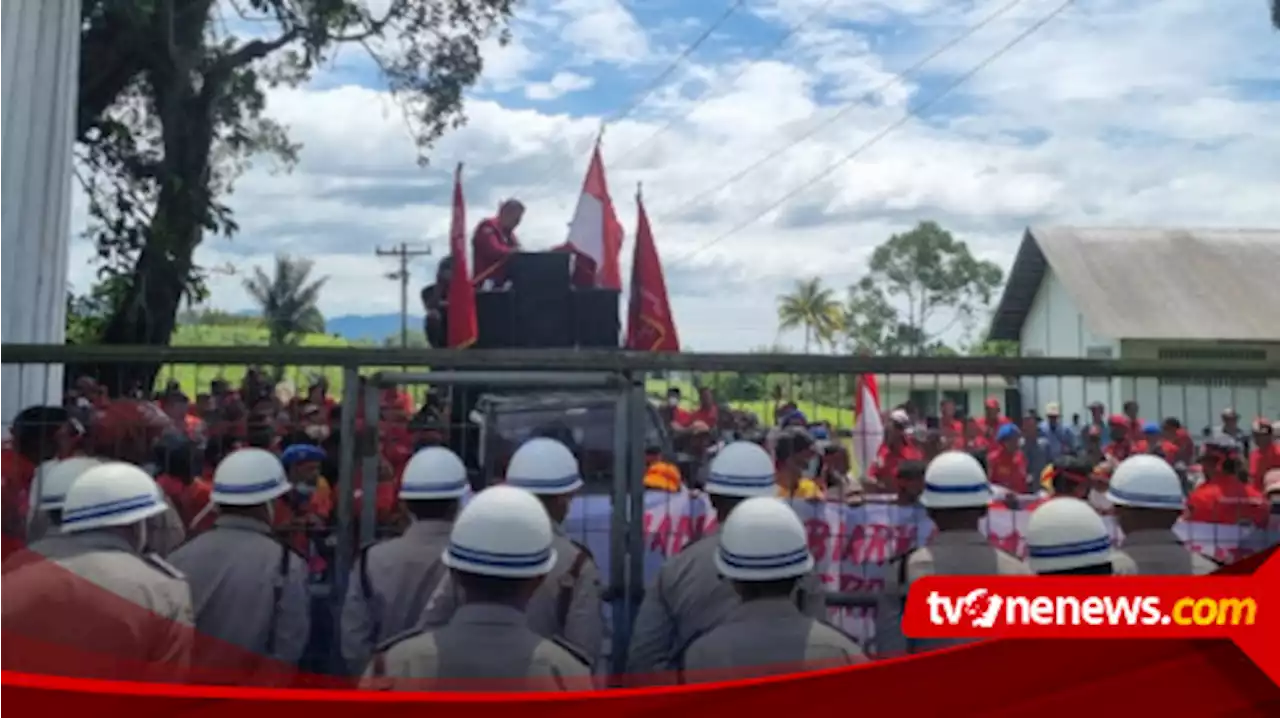 Ormas Pemuda Batak Bersatu Geruduk Kantor PTPN IV Kebun Teh Sidamanik