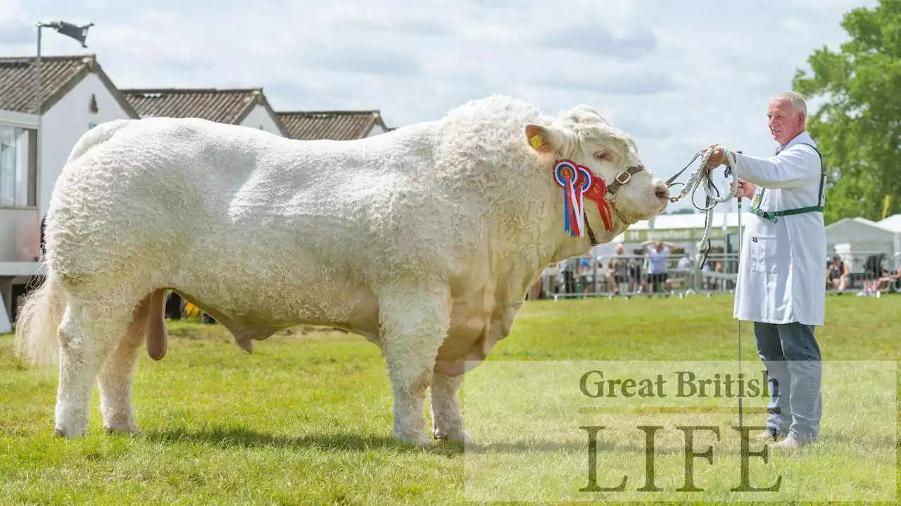 All you need to know about the 2022 Great Yorkshire Show