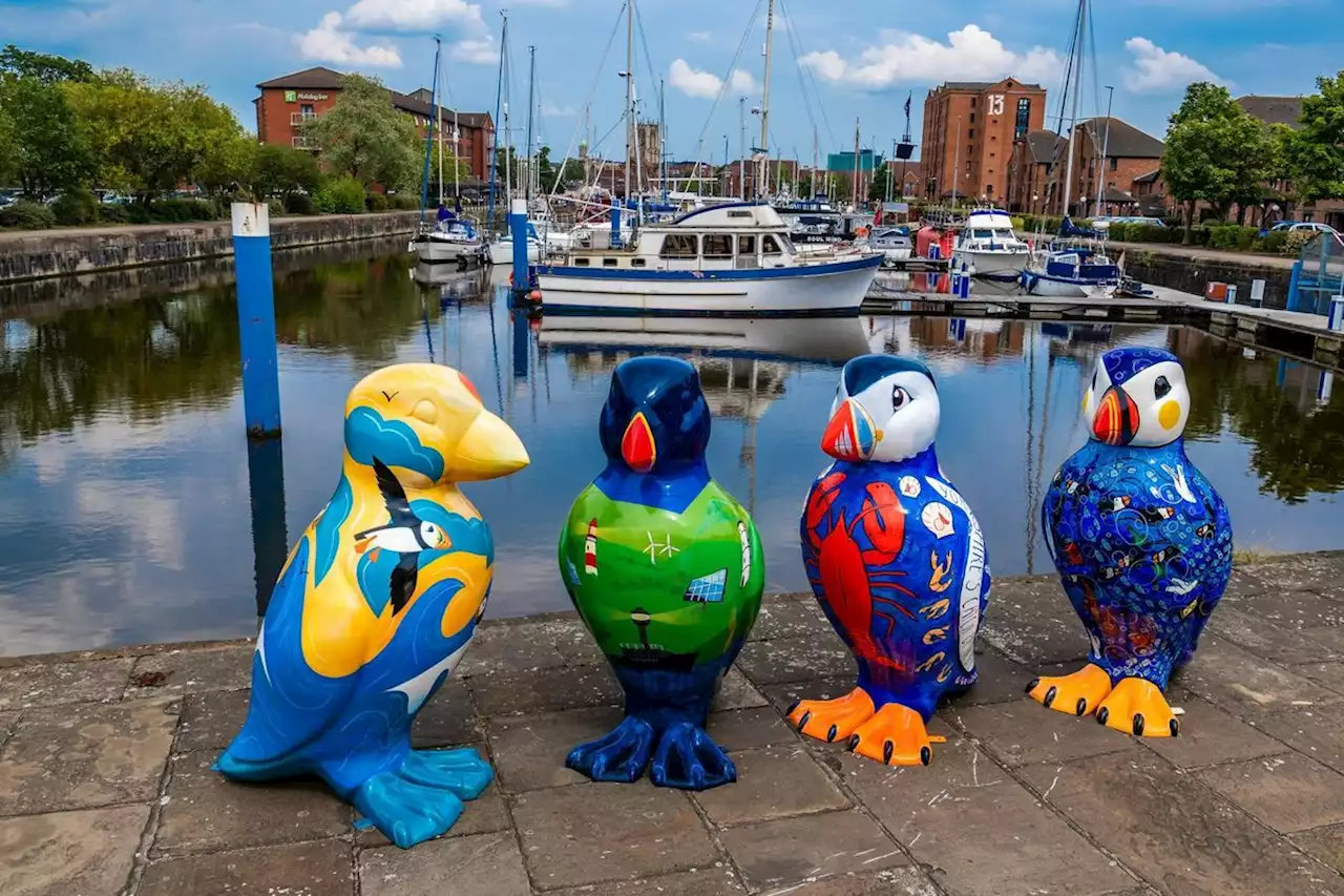 Puffins Galore!: Sculptures along the Yorkshire coast are damaged by vandals just two days after being unveiled