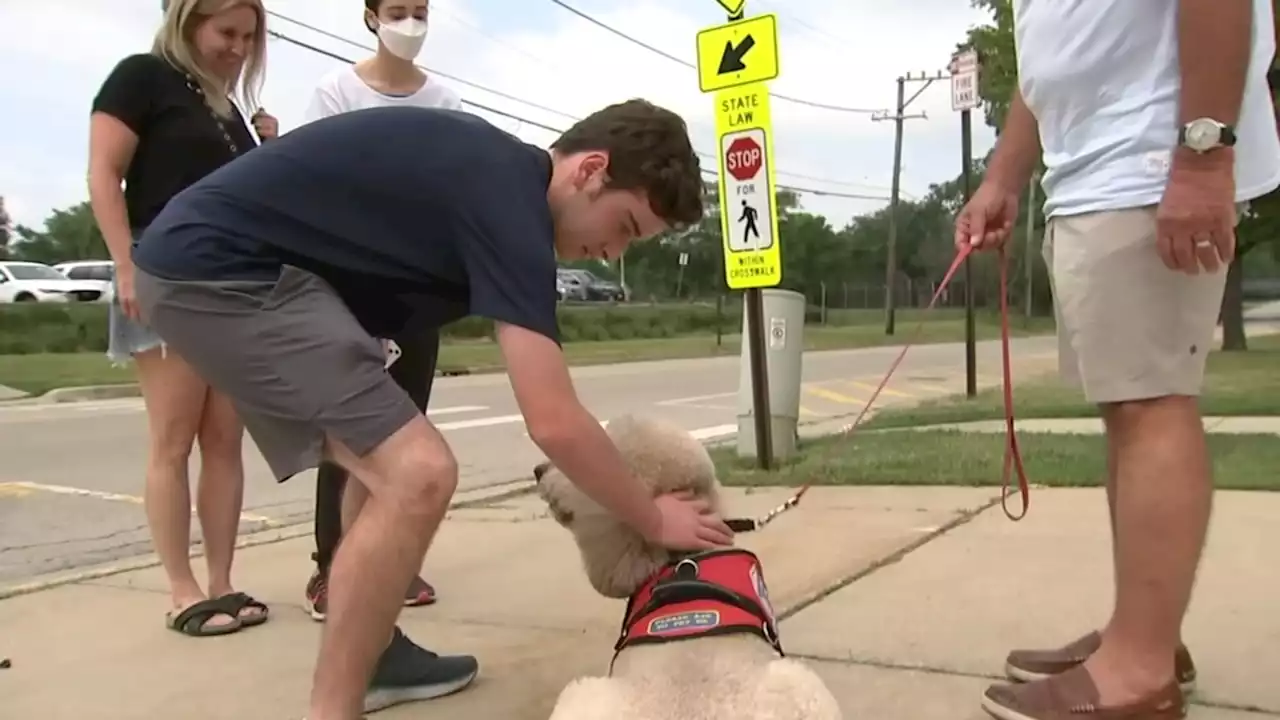 'Feeling helpless': North Shore man offers up service dog to Highland Park parade shooting survivors