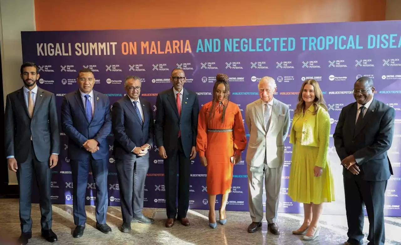 Africa: Giving Malaria, Neglected Tropical Diseases the Attention it Deserves Will End Preventable Suffering