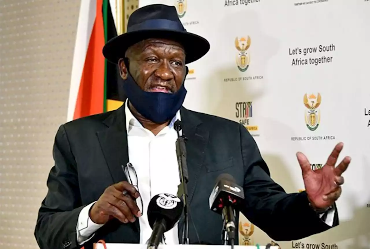 Cele to introduce new terrorism laws in South Africa