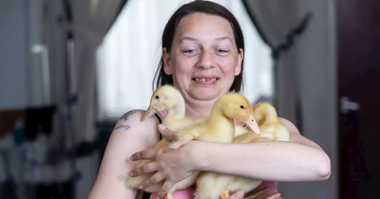 Mum overjoyed as eggs she bought in Morrisons hatch into cute pet ducklings